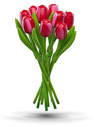 MomoMoments Tulpenstrauß aus Holz für die Liebste, 9 Holztulpen, 34 cm hoch, handbemalt, Blumenstrauß, Holzblumen, Muttertag, Frauengeschenk, Made in Holland (Rot/Weiß)