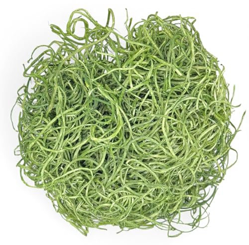 MIJOMA Erba decorativa per il fai da te: fibre di legno per fai da te, erba pasquale per nido e regali, 30 g, diversi colori (verde scuro)