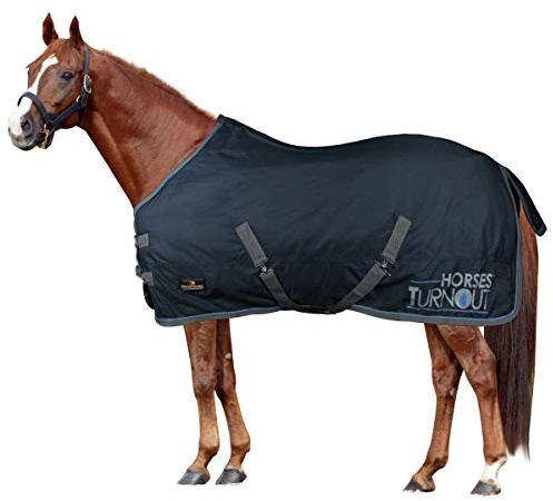 Horses, Coperta da Paddock per Cavallo Turnout 200 gr, Impermeabile, Imbottita, Resistente, con Cinghie ad Incrocio, Blu 128 cm