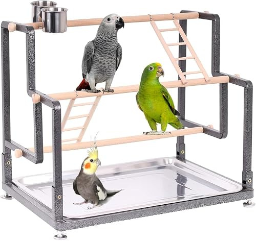 Aire de jeu pour oiseaux pour l'intérieur, cadre en métal robuste, installation sans outil, 4 perchoirs, 2 échelles et 2 gobelets pour oiseaux, pour petits et grands oiseaux
