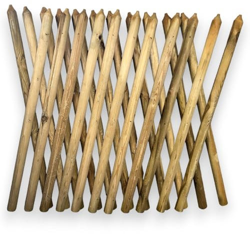 Briconess.com Clôture Treillis extensible 250 cm Max en bois de pin pour extérieur LASA - 100 cm