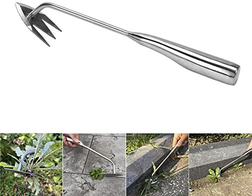Edelstahl Unkrautstecher, 34.5cm Fugenreiniger Unkraut, Gartenwerkzeug, Unkraut Entferner Gerät, Fugenkratzer Mit Stiel