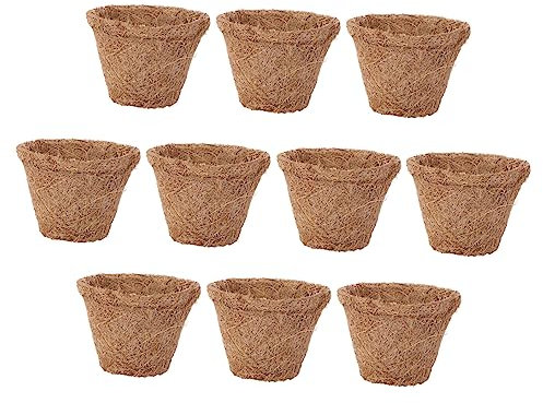 Milisten 10st Kokospalmen Pfannen Kokos Töpfe Keimung Tablett Starter Töpfe Garten Keimung Kindergarten Kokos Faser Pflanzer Anlage Torf Tasse Vorspeise Anlage
