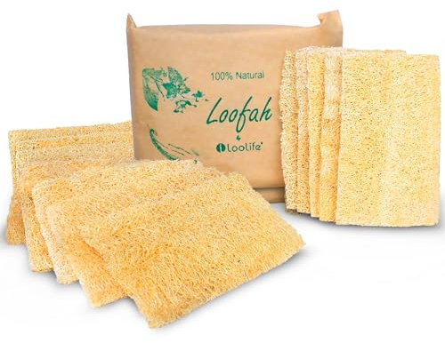 Esponja de cocina natural de lufa (XL, paquete de 10) - Esponjas naturales para platos - Esponjas ecológicas - Esponjas compostables - Esponjas biodegradables de cocina - Esponja de cocina natural a
