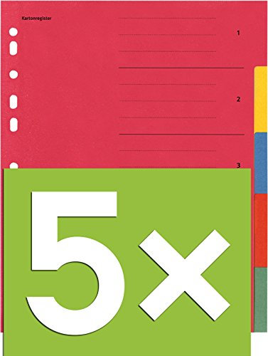 Falken Karton-Register für DIN A4 24 x 29,7 cm volle Höhe mit Organisationsdruck (5-teilig | 5er Pack)