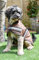 Rhinegold Hundemantel, wasserdicht, 65 cm, Braun