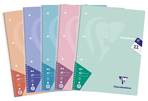 Clairefontaine 306252C - Paquet de 5 cahiers scolaires, DIN A4 21x29,7 cm, 160 pages, 90g, petits carreaux, couleurs pastel assorties, 1 paquet