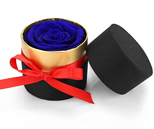Ranjima eviga rosor, infinity ros riktiga rosor konserverade rosor handgjorda, gåva till alla hjärtans dag, roslåda med konserverade blommor, rosgåvor till flickvän fru kvinnor mamma mormor födelsedag
