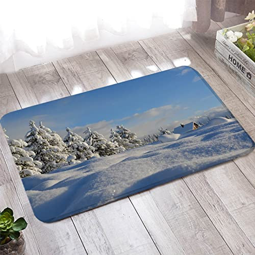 Bishilin Türmatten Haustür Innen 50x80, Weihnachten Badteppiche rutschfest Waschbar Winter Wald und Häuser Fußmatten Haustür Wohnzimmer Kinderzimmer