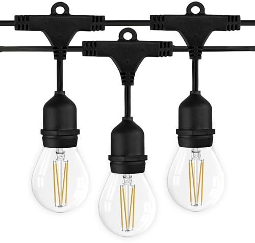 Ledvion - LED Lichterkette, 25M, Inklusive 25x Silber E27 LED, 1W, 2100K, Inklusive 25 Gold Filament LED-Lampen, IP65