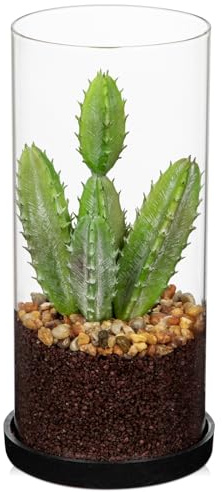 Arborus Künstliche Sukkulenten im Glas Künstlicher Kaktus wie Echt 20 cm Kunstpflanzen Klein Tischdeko Regal Deko Sukkulenten Dekopflanzen Klein für Büro Wohnzimmer Bad Deko