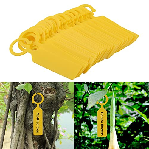 Chiyyak Etichette Segna Nome in Plastica per Semi, Etichette per Fiori Pendenti Facili da Appendere per Piante giovani. Ideale per la Cura del Cortile e L'identificazione delle Piante (Giallo)