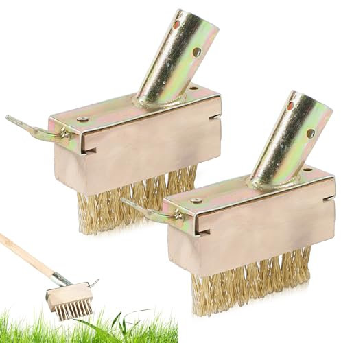 DHSWNNG 2 cepillos para juntas de acero, rascador de juntas, para eliminar malas hierbas, para eliminar hierba, musgo, placas, juntas, bordes de paredes