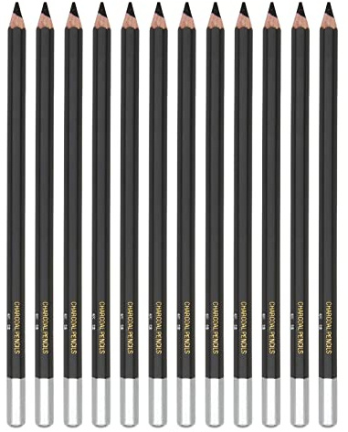 Tnfeeon Matite Colorate Nere da 12 Pezzi, Matite a Carbone Morbido con Portapenne Esagonale per Schizzi e Disegni, Ideali per Artisti e Bambini