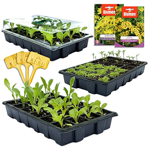 Herbaria Anzucht Gewächshaus zimmergewächshaus groß Indoor - Set mit 3 Einheiten - Komplett mit 3 Schalen, 3 Saatbetten mit 24 Zellen, 3 transparenten Gewächshausdeckeln und Zwei Saatbeuteln
