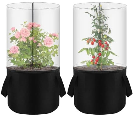 Inomhusväxthus Små Blomkrukor Frostskydd