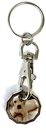 UK Phoenix Shopping Trolley Token 12 Sided New £1 Coin Key Ring Shape Locker Shop Market Supermarket Pound Coin Keychain Hook Reusable Handy Pound Token Gym Locker Troley