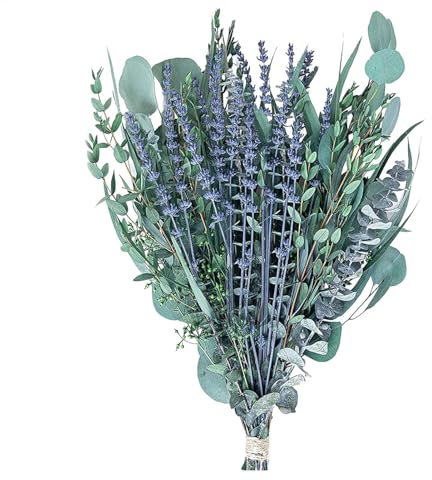 Set di eucalipto da doccia - Fiori di eucalipto, eucalipto Saligna Smith | Pacchetto doccia eucalipto secco, decorazione per aromaterapia doccia spa, rami di piante artificiali, decorazione per vasi