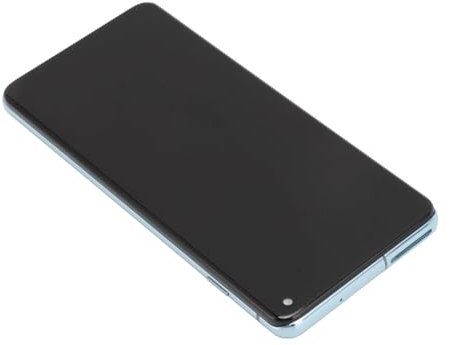 Pantalla de Teléfono Móvil, Dispositivo de Digitalización de Pantalla Táctil LCD Profesional 6.1 Pulgadas para S10 G973W G9730