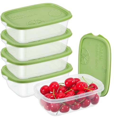 MICHIHOMIE 5PCS Rectangle Food Containers with Lids, Reusable Plastic Portion Box Sets, Food Storage Boxes for Cereal, Snack, Fruits, 1000ML (5psc 1000ml)