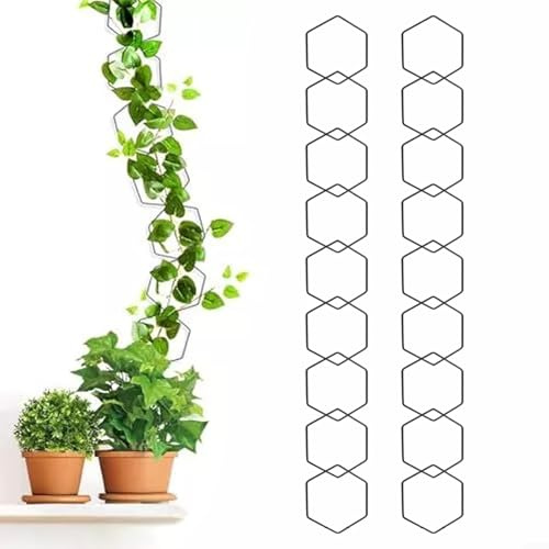 HomeVortex 18 tralicci esagonali per piante rampicanti, kit di ganci da parete in metallo resistenti alle intemperie, supporto decorativo da giardino fai da te per edera Hoya filodendro per uso