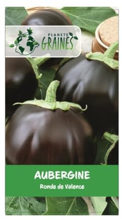 20 graines aubergine ronde de Valence - forte productivité