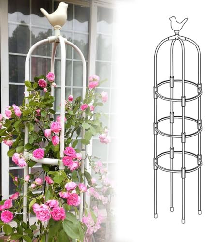 Genérico Enrejado De Jardín para Plantas Trepadoras Obelisco De Metal Soportes De Vides Rosa para Macetas Interiores En Interiores Diámetro 20cm 25 Cm 28 Cm 32cm 36 Cm 40 Cm(Blanca,25x175cm)