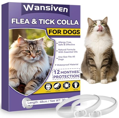 Wansiven Collar Antipulgas para Gatos, Ajustable Collar Antipulgas, Piojos, Pulgas, Parásitos, Adecuado para Gatitos, Gatos Medianos y Grandes 48cm (Púrpura-2p)