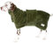 Pash Dog Hundebademantel aus 100% Bio-Baumwolle für Kleine Mittelgroße Große Hunde, Verstellbar mit Klettverschluss, Saugfähig und Schnelltrocknend, 600 Gr/m2 Double Layer Frottee (XS, Grün)