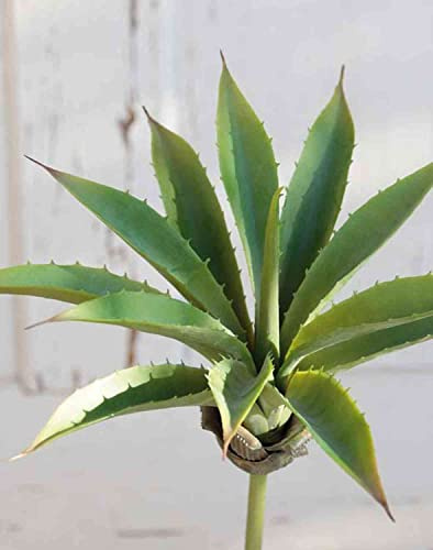 artplants.de Künstliche Agave UNATHI auf Steckstab, grün, 25cm, Ø28cm - Kunst Agave