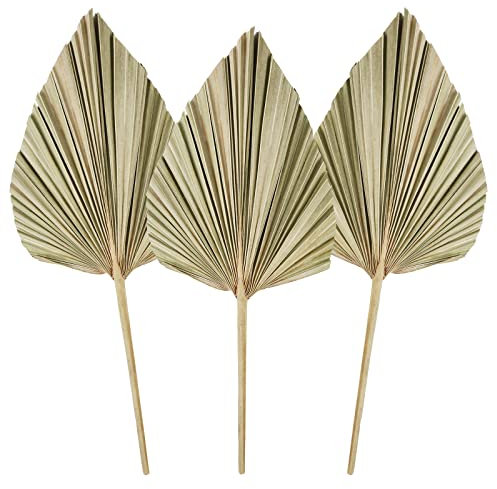 3Pcs Feuilles de Palmier Séchées Lances de Palmier Séchées Naturelles, Petit Eventail de Palmier Séché,Plante de Palmier avec Tige Boho Maison, Fête, Mariage,Gâteau, Décoration Gold (Natural)