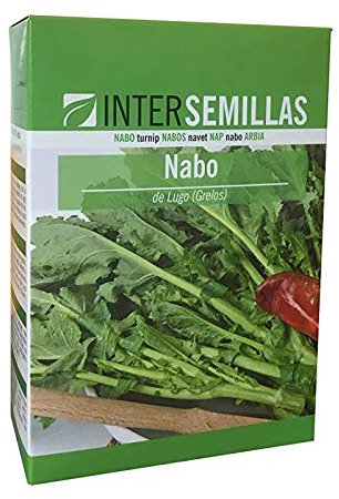 Semilla de Nabo Globo Blanco de Lugo 250 gr