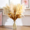 PatNlevs Pampas Secas Decoracion, Ramos de Flores Secas Naturales Decoración, Hierba de Pampa Esponjosas para Decoración Casamiento, Hogar, Mesa, Boho (Hierba de la Pampa)