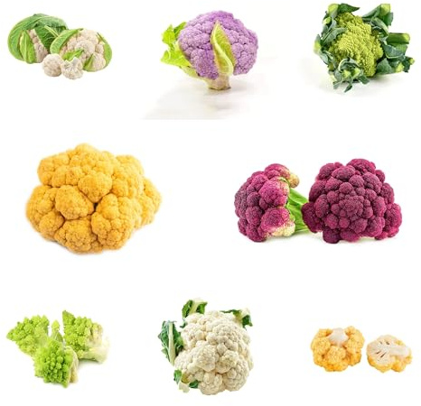 coliflor orgánica semillas de de semillas coliflor trepadoras exóticas Comprar hortalizas invierno hortalizas orgánicas, variedades tradicionales 160semillas