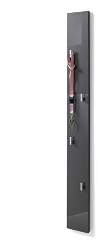 Stella Trading COLOR NEW Garderobenpaneel in Grau Hochglanz - Platzsparende Garderobenleiste mit zuverlässigen Wandhaken für Jacken & Taschen - 14 x 115 x 2 cm (B/H/T)