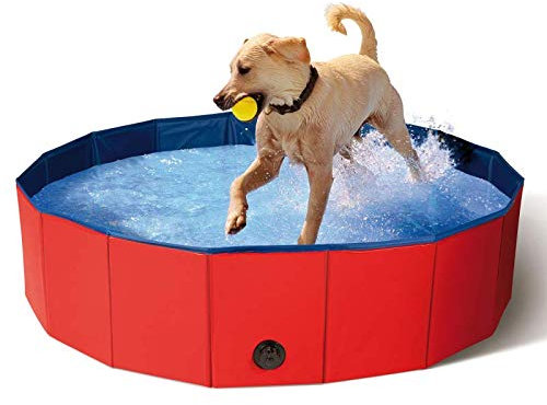 IDMarket - Piscine Pliable XXL pour Chien Baignoire 120 x 30 CM
