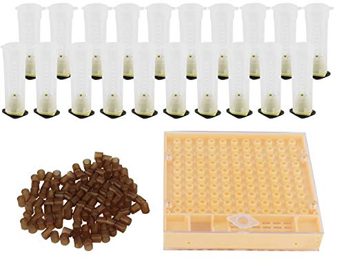 Queen Bee Rearing Kit, Biodling Ympning Kit Tool, Queen Bee Rearing Box Bur Plast Breeding Cell Cup Kit Skyddskåpa Biodlingsutrustning Tillbehör
