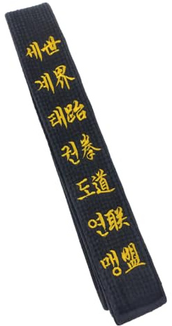 TANZEQI Personalised Embroidered Belt for Taekwondo Hapkido Martial Arts/Karate Belt Judo Kickboxing Ju-Jitsu Shotokan Junior, Schwarz, 94.4“/240cm