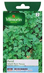 Persil Gigante d'Italia (Géant d'Italie) race Novas - Graines d'Exception