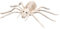 Boland 72403 - Spinnen-Skelett, Größe 23 x 14 cm, Attrappe aus Kunststoff, Spinne, Spider, Dekoration für Halloween, Karneval oder Mottoparty