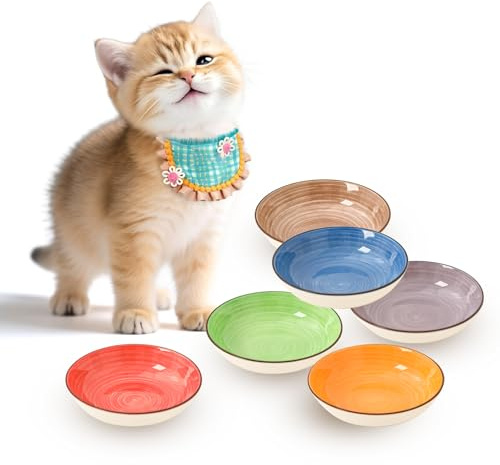 Futternapf Katze Keramik Katzennapf Set - 6 Stück Mehrfarbige Katzennäpfe - Katzen Fressnapf mit Wirbelmuster - Katzenschüssel - Katzenfutter Napf - Katzenteller Flach - 250 ml