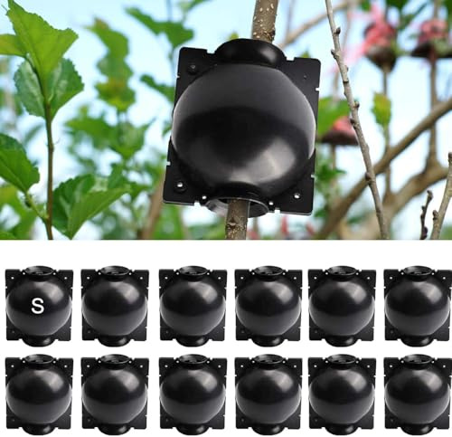 12 cajas de cultivo de raíces de plantas para propagación de plantas, bola de enraizamiento de propagación razonable para cortar plántulas