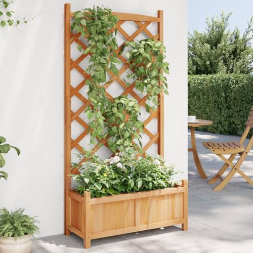 Hovothy Jardinière avec treillis pour l'extérieur - Parterre d'herbes - Bac à fleurs pour balcon - 75 x 35 x 150 cm - Bois de sapin massif - Marron