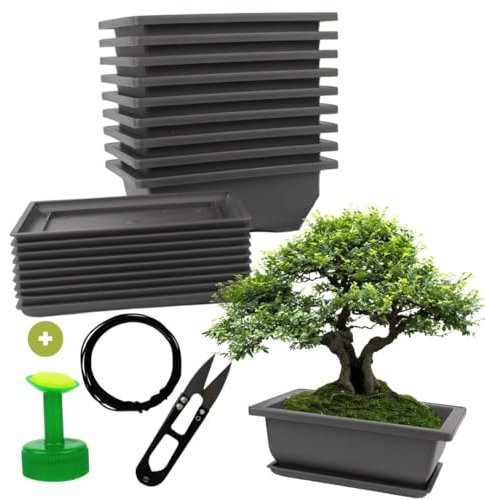 Cultivea® - Lot de 10 Pots pour Bonsai avec Soucoupe – Kit Complet pour Culture et Entretien : Pots en Plastique avec Fil Bonsai, Sécateur, Bouchon Arrosoir et Drainage Intégré