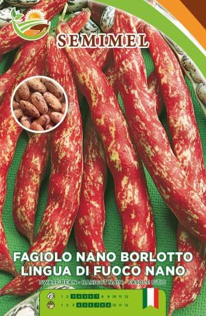 Fagiolo Borlotto Nano L. Fuoco - Semi di Fagiolo a Ciclo Medio-Precoce, Baccelli Lunghi e Screziati, 100g 3 confezioni