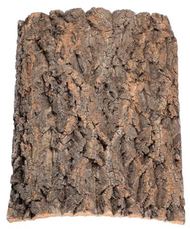 DOITOOL Corteccia di Sughero Naturale 15.75X11.81X0.79 Pollici Piattaforma di Arrampicata per Rettili Accessori Terrario Decorazione Habitat Serbatoio