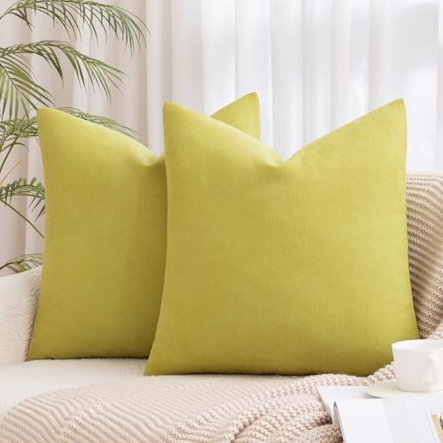 MIULEE 2er Kissenbezug 40x40 Apfelgrün Chenille Kissenbezüge Kissenhülle Sofakissen dekokissen zierkissen für Couch Sofa Wohnzimmer