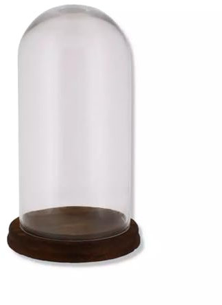 Lettuce Eat® 33cm Glass Display Bell Jar Oval Cloche on Dark Wood Base Display Stand Flowers Rose Collectabiles Decoration.
