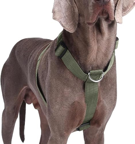Inget drag hundsele, kraftig taktisk hundsele, justerbar mjuk vadderad husdjursväst sele för medelstora och stora hundar träning promenader, lätt och flyktsäker (grön, XL)