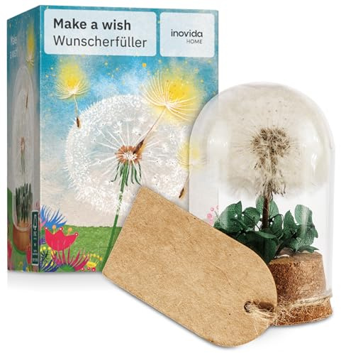 Diente de León en Vidrio : Flor Real en Cúpula como Amuleto de la Suerte – Regalo Pequeño con Tarjeta para Deseos, Agradecimiento, Motivación, Exámenes, Bodas, Año Nuevo, Nuevo Trabajo y Más – Inovida